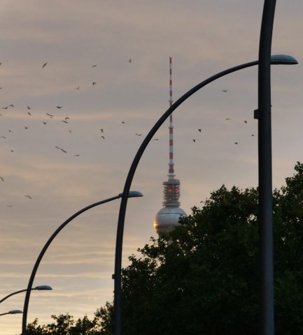 berlininnenstadt29